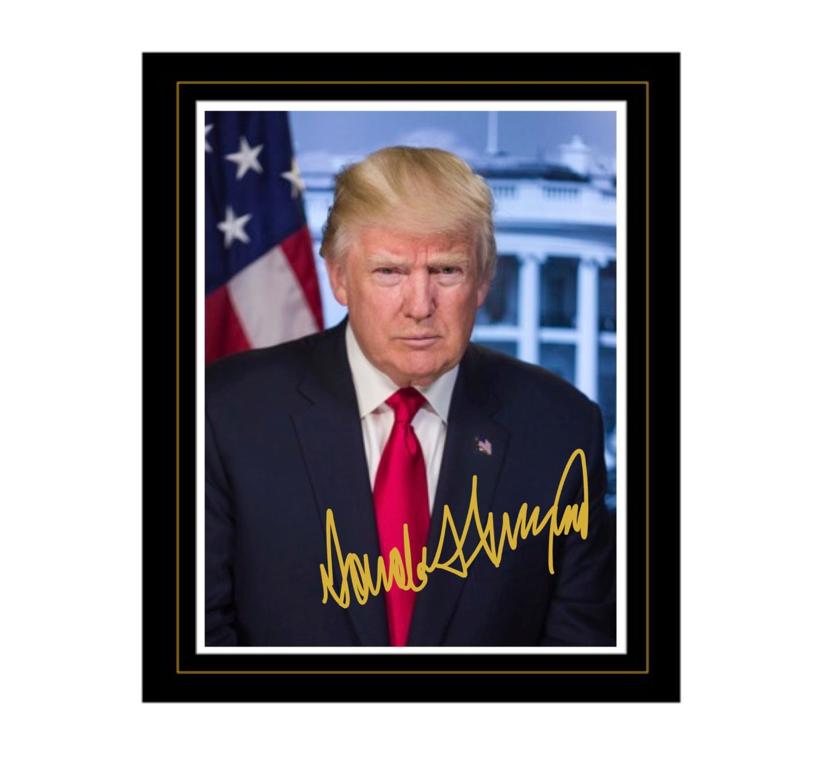 Donald Trump Autograph Portrait Replica with Frame, Collectible Limite ...